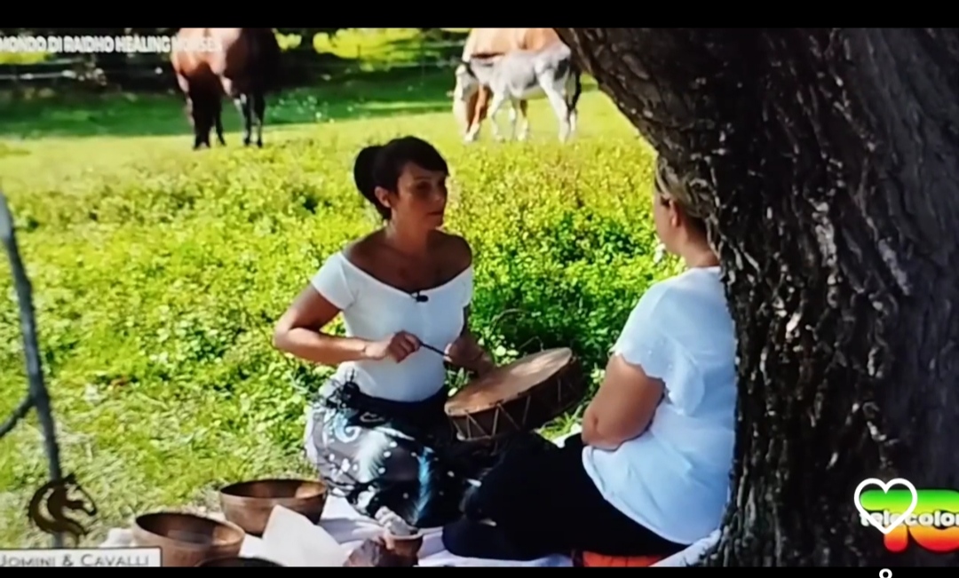 Trasmissione Telecolor 2023 trattamento Biopsicosomatico horse